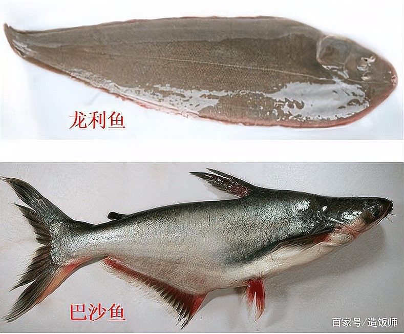 如何選擇新鮮的龍利魚（如何挑選新鮮的龍利魚）