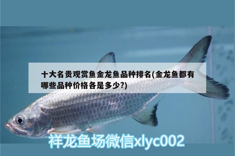 十大名貴觀賞魚金龍魚品種排名(金龍魚都有哪些品種價格各是多少?)（十大名貴觀賞魚金龍魚品種排名）