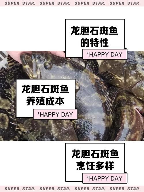石斑恐龍魚混養的最佳搭配（石斑恐龍魚與其他魚類混養的最佳搭配）