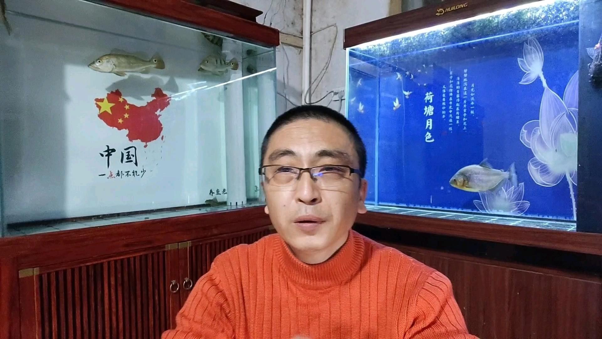 1米2的魚缸能養紅龍魚嗎（1米2的魚缸可以養紅龍魚嗎）