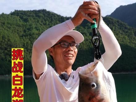 推薦一些釣七彩龍魚的好地點 推薦一些釣七彩龍魚的好地點 龍魚百科 第8張