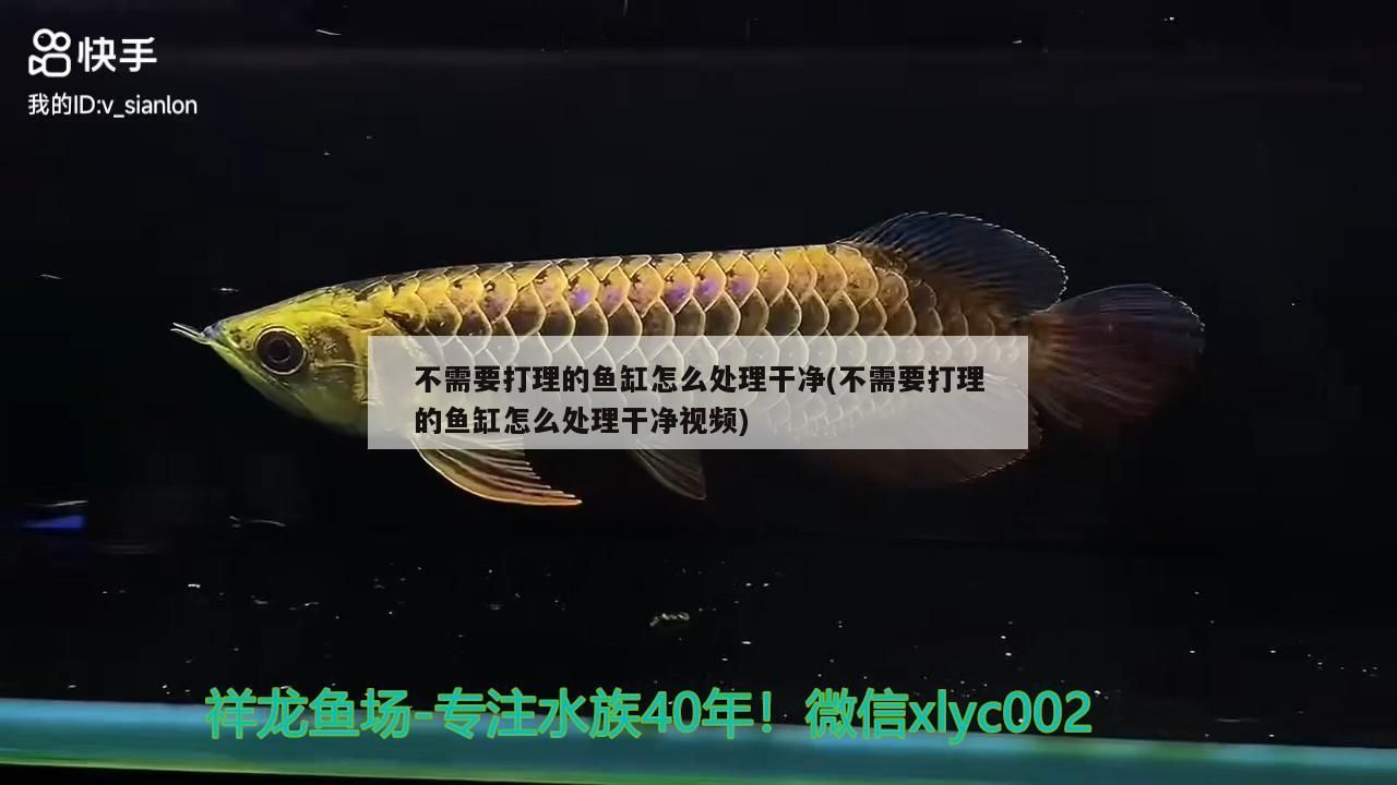 凈之美—養(yǎng)魚不換水+水重要(養(yǎng)魚不換水+水重要) 觀賞魚百科 第3張 凈之美—養(yǎng)魚不換水+水重要(養(yǎng)魚不換水+水重要) 凈之美—養(yǎng)魚不換水+水重要(養(yǎng)魚不換水+水重要) 觀賞魚百科 第3張