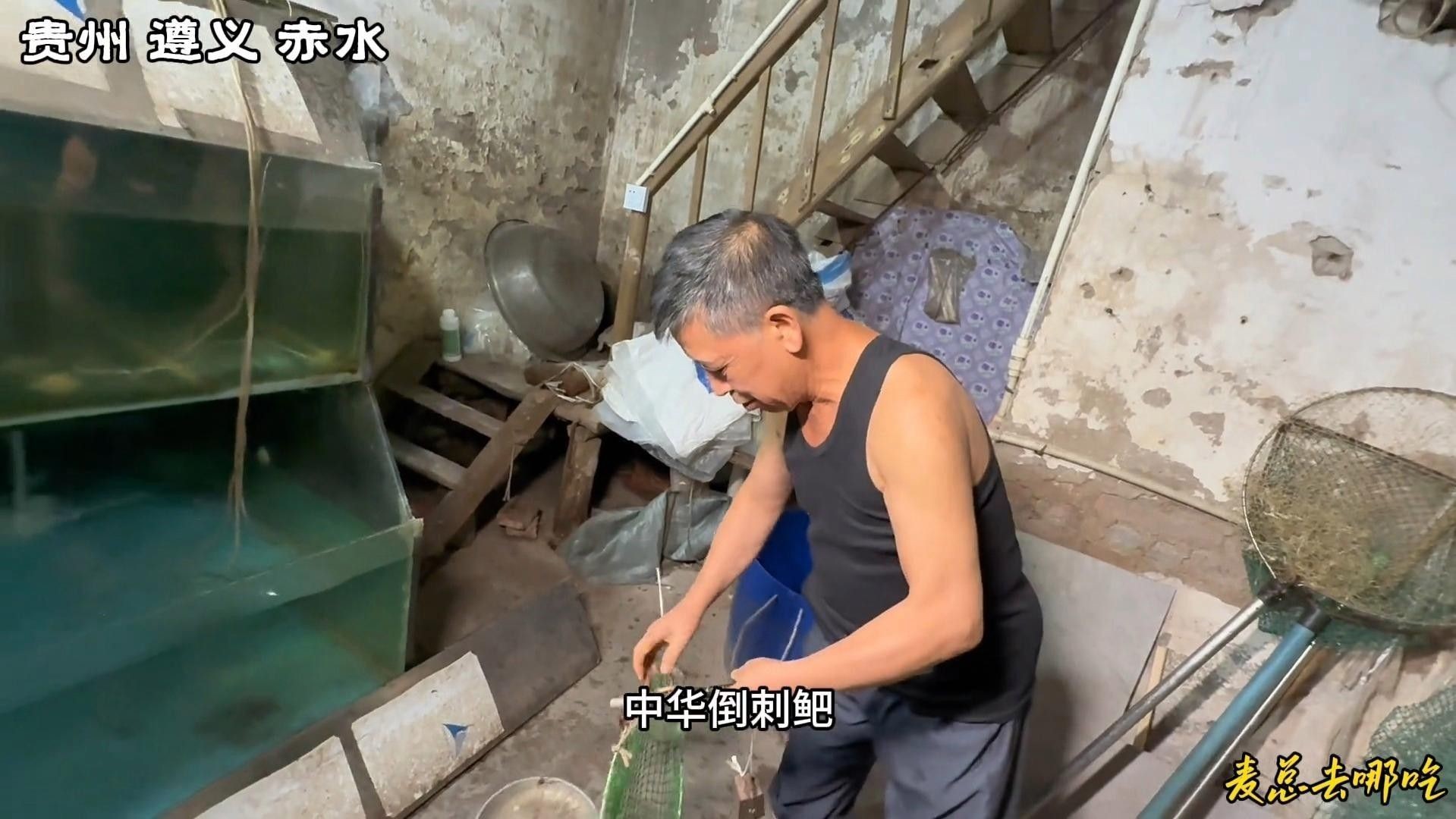 黔龍魚的市場價(jià)格是多少 黔龍魚的市場價(jià)格是多少 龍魚百科 第7張