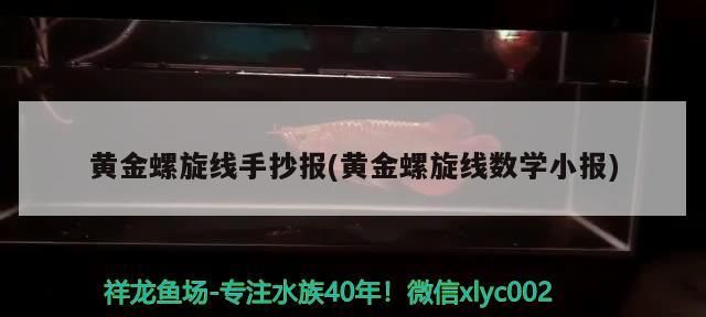 黃金螺旋線手抄報(黃金螺旋線數學小報)