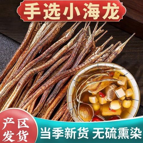 哪里可以購買到正宗的海龍魚