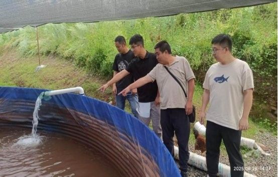 昭覺哪個水族館龍魚好？祥龍魚場龍魚