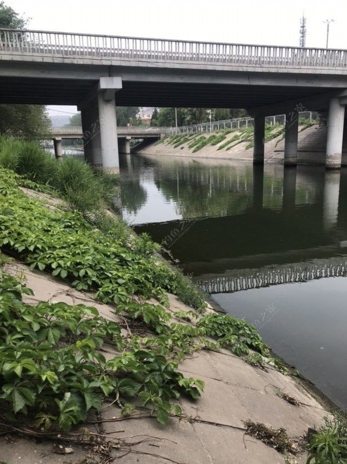 釣場費用是多少？