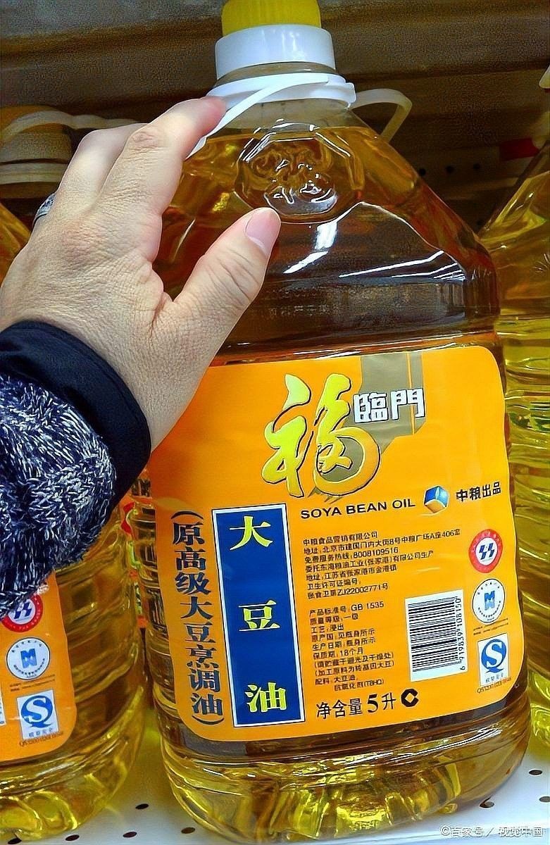 金龍魚和金龍油哪個更適合炒菜 金龍魚和金龍油哪個更適合炒菜 龍魚百科 第9張