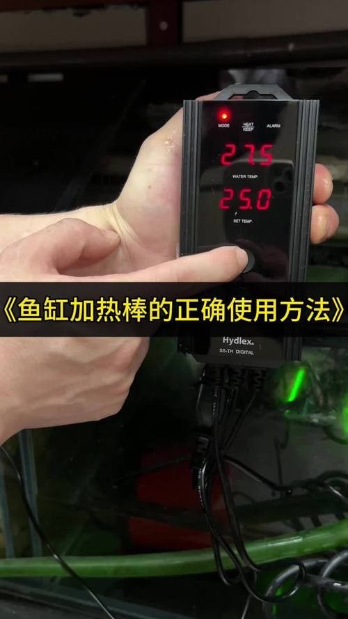 龍魚加熱棒哪個品牌最好