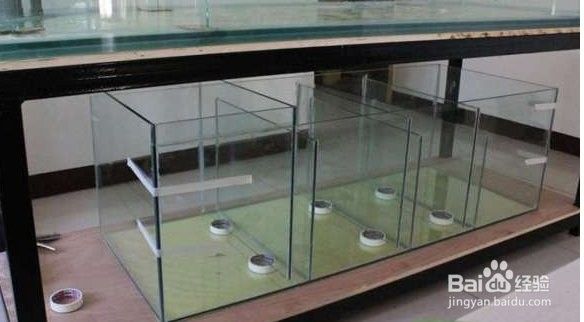 如何設(shè)置龍魚缸的過濾器？