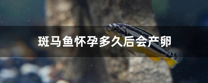 恩施魚缸定做電話多少 恩施魚缸地點