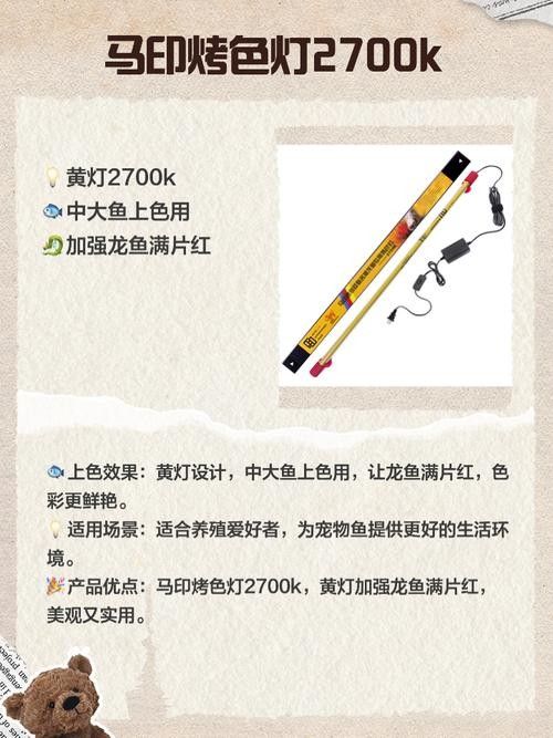 金龍魚燈光強度應該如何調整