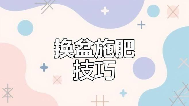 紅龍月季換盆后多久施肥？（古今世界月季換盆后多久可以施肥恢復期需注意這些細節） 紅龍月季換盆后多久施肥？（古今世界月季換盆后多久可以施肥恢復期需注意這些細節） 龍魚百科 第1張