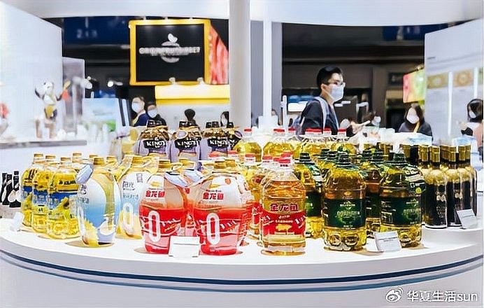 金龍魚的技術創新有哪些具體案例？ 金龍魚的技術創新有哪些具體案例？ 龍魚百科 第7張