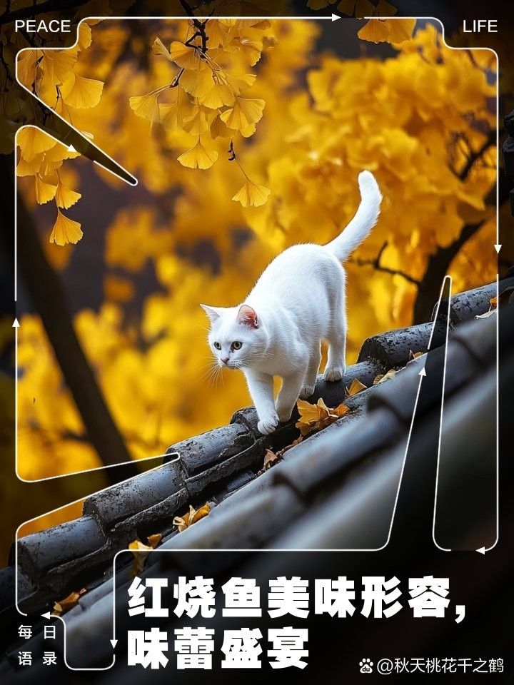 金龍魚紅燒后口感如何？（金龍魚紅燒后口感怎么樣） 金龍魚紅燒后口感如何？（金龍魚紅燒后口感怎么樣） 龍魚百科 第11張