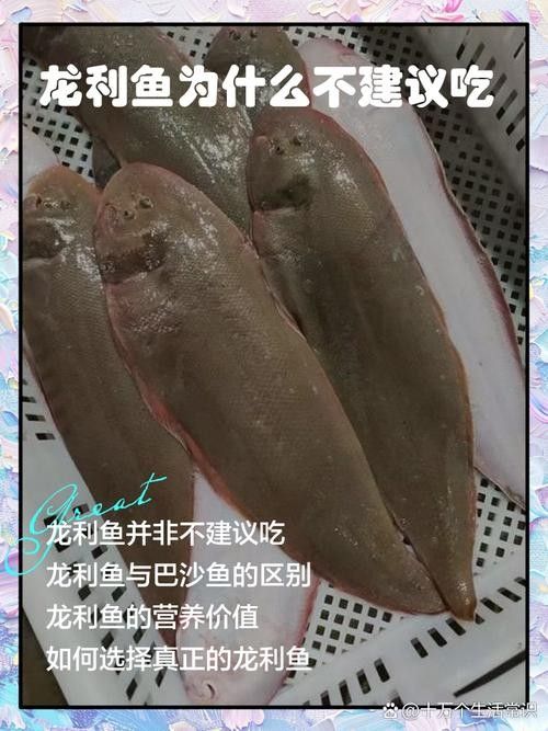 龍利魚的市場價格是多少