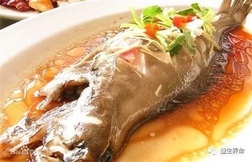 龍利魚的市場價格是多少