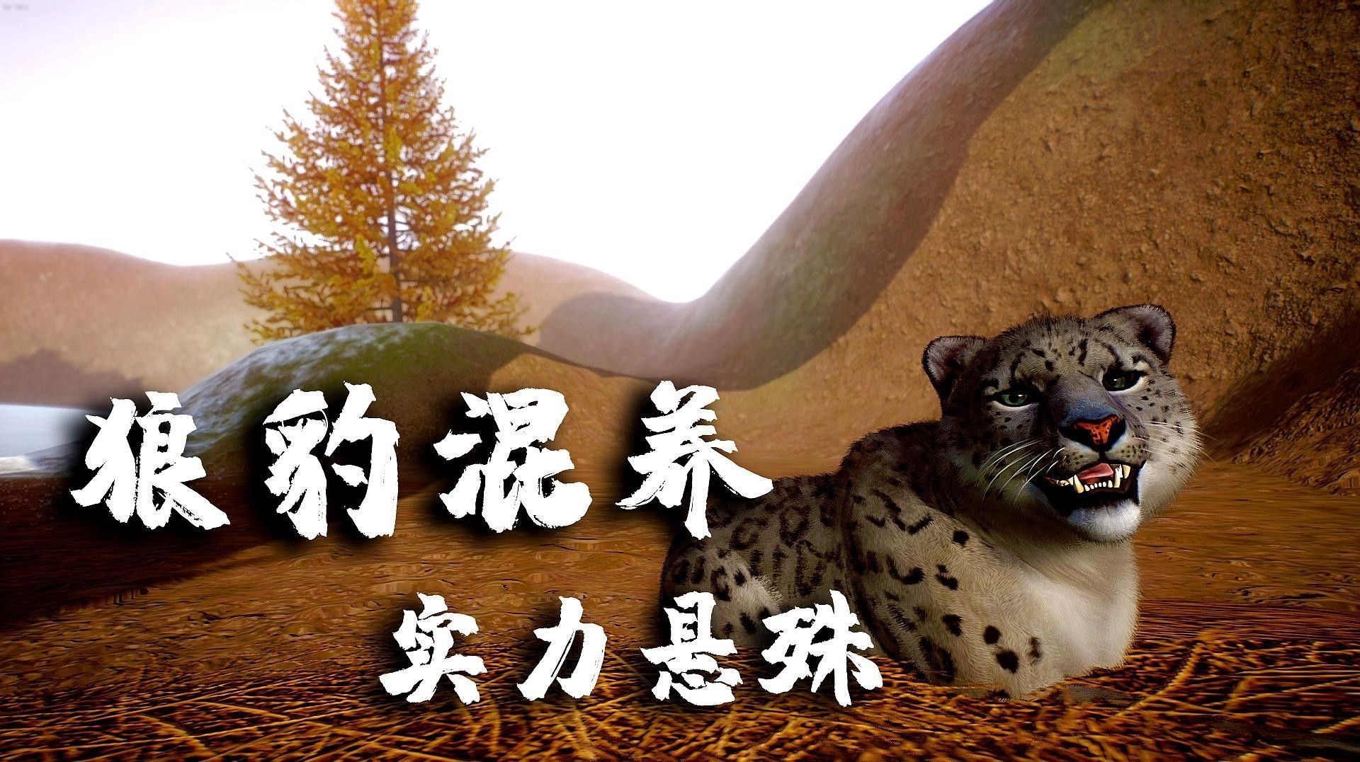 混養(yǎng)中常見的沖突有哪些（混養(yǎng)中可能出現(xiàn)的沖突）
