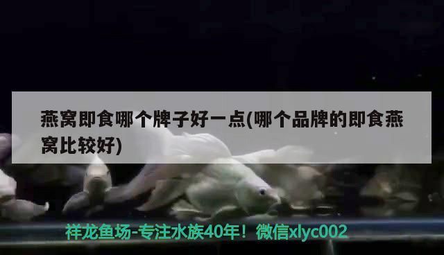 燕窩即食哪個牌子好一點(哪個品牌的即食燕窩比較好)