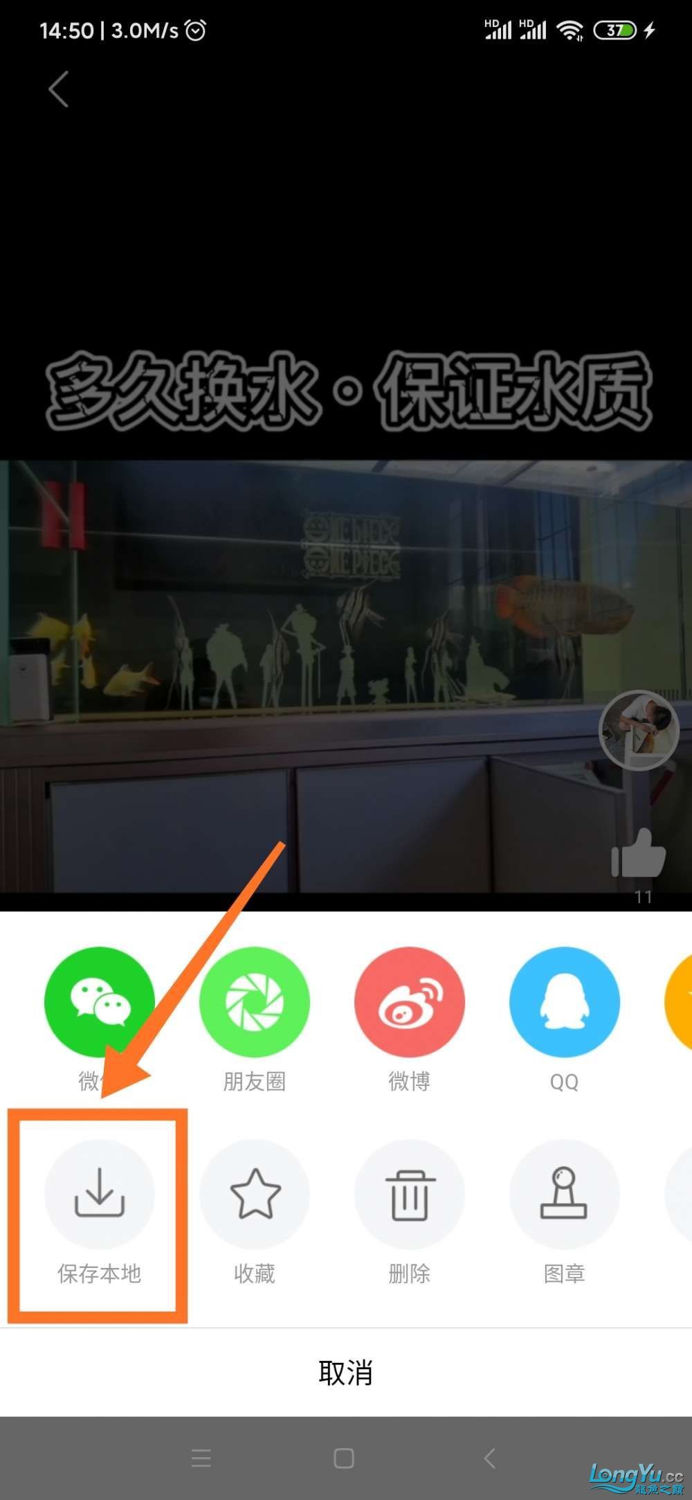 祥龍魚場還有哪些品種的觀賞魚？，德彩、仟湖、神陽哪個品牌價格最高仟湖品牌有哪些 祥龍魚場還有哪些品種的觀賞魚？，德彩、仟湖、神陽哪個品牌價格最高仟湖品牌有哪些 龍魚百科 第1張