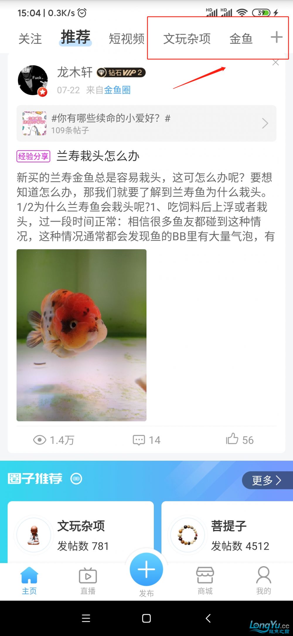 500版本上線了（龍巔5.0.0.0.0.0.0.0.0.0.0.0.0.0.0.0.0.0）