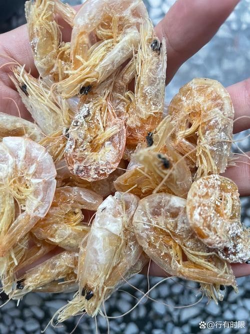 如何判斷蝦仁是否新鮮（判斷蝦仁是否新鮮是確保食用安全和美味的關鍵步驟） 如何判斷蝦仁是否新鮮（判斷蝦仁是否新鮮是確保食用安全和美味的關鍵步驟） 龍魚百科 第4張