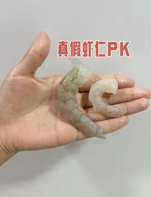 如何判斷蝦仁是否新鮮（判斷蝦仁是否新鮮是確保食用安全和美味的關鍵步驟） 如何判斷蝦仁是否新鮮（判斷蝦仁是否新鮮是確保食用安全和美味的關鍵步驟） 龍魚百科 第7張