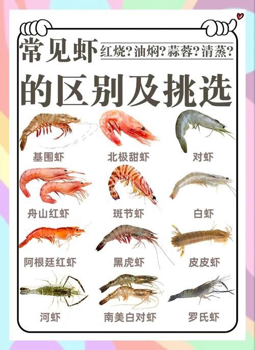 如何判斷蝦仁是否新鮮（判斷蝦仁是否新鮮是確保食用安全和美味的關鍵步驟） 如何判斷蝦仁是否新鮮（判斷蝦仁是否新鮮是確保食用安全和美味的關鍵步驟） 龍魚百科 第9張
