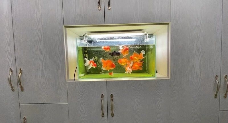 DIY底濾系統需要哪些材料？（diy底濾系統，你需要準備以下材料）
