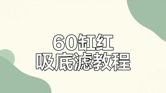 DIY底濾系統需要哪些材料？（diy底濾系統，你需要準備以下材料）