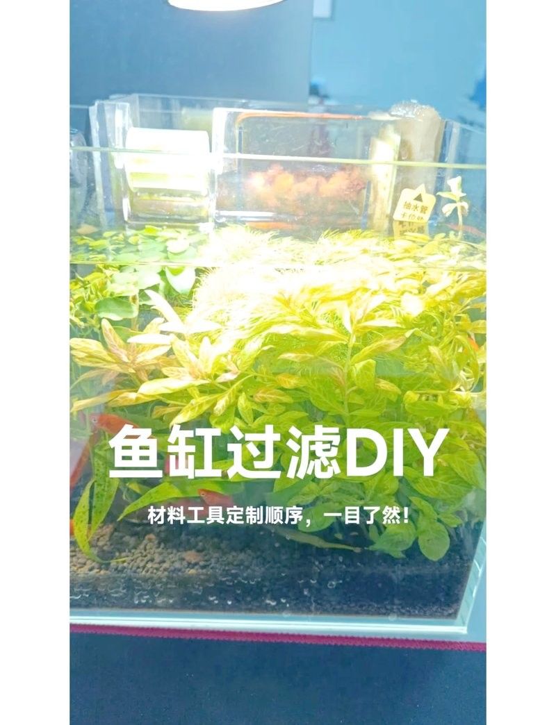 DIY底濾系統需要哪些材料？（diy底濾系統，你需要準備以下材料）