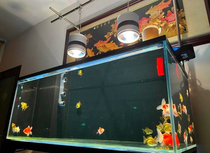 DIY底濾系統需要哪些材料？（diy底濾系統，你需要準備以下材料）