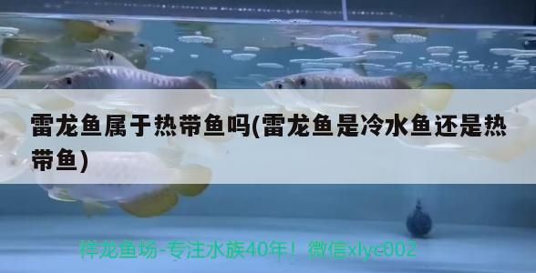 西安做魚缸的廠家在哪里有（西安批發魚缸在哪里）