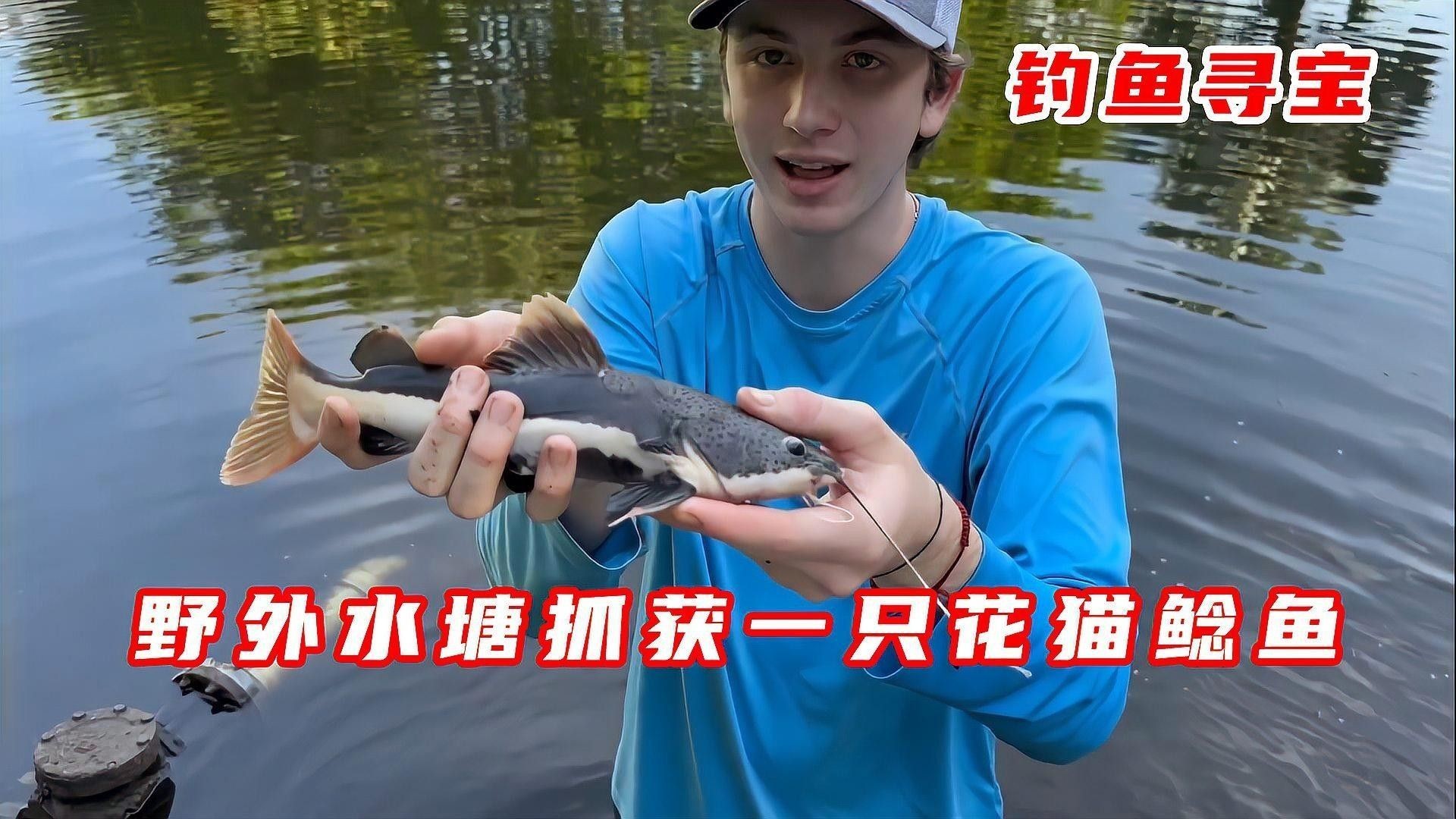 火背雷龍魚苗多久換一次水？（新手必看的雷龍魚換水黃金法則）