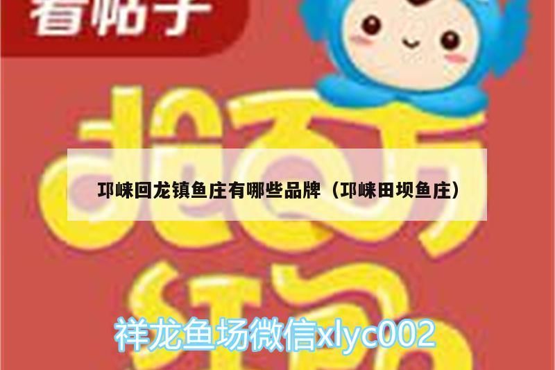 邛崍回龍鎮魚莊有哪些品牌（邛崍田壩魚莊）（成都邛崍回龍鎮魚莊釣魚好去處邛崍田壩魚莊有哪些品牌）