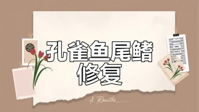 孔雀魚被攻擊后如何恢復？（關于孔雀魚在遭受攻擊后如何恢復的要點孔雀魚尾巴被咬了怎么辦） 孔雀魚被攻擊后如何恢復？（關于孔雀魚在遭受攻擊后如何恢復的要點孔雀魚尾巴被咬了怎么辦） 龍魚百科 第2張