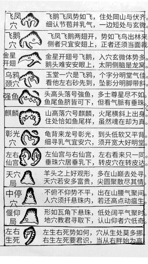 如何聯(lián)系風(fēng)水尋龍軟件的正版開發(fā)者（如何與風(fēng)水尋龍軟件的正版開發(fā)者取得聯(lián)系）