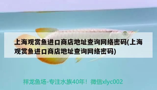 上海觀賞魚進(jìn)口商店地址查詢網(wǎng)絡(luò)密碼(上海觀賞魚進(jìn)口商店地址查詢網(wǎng)絡(luò)密碼)（上海花鳥市場）
