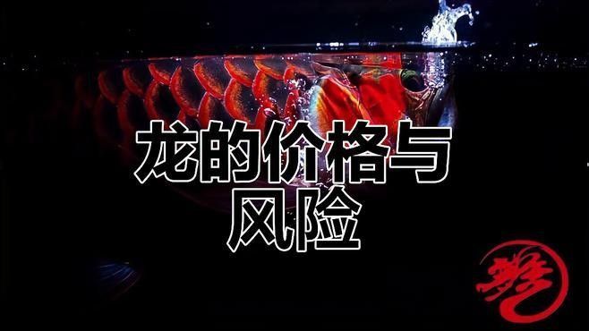 如何判斷一個龍魚商家的信譽？（一個龍魚商家的信譽可以從以下幾個方面進行評估）