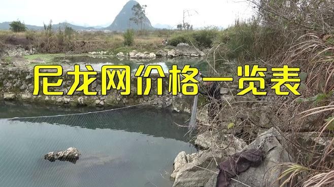 尼龍網蓋的價格是多少？（尼龍網多少錢一平方米）