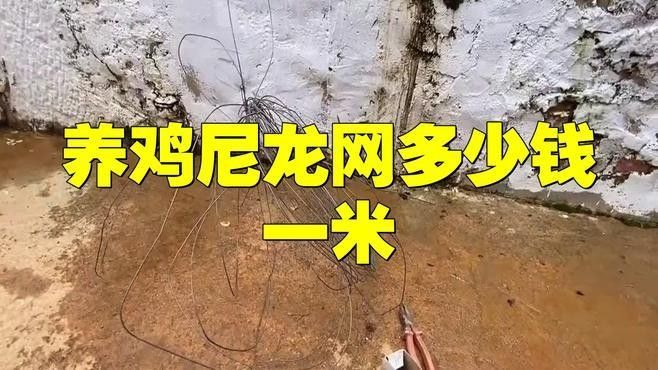 尼龍網蓋的價格是多少？（尼龍網多少錢一平方米）
