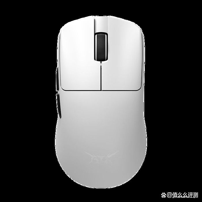 G49系列鼠標的售后服務(wù)如何（g49系列鼠標售后服務(wù)質(zhì)量通常受到用戶好評） G49系列鼠標的售后服務(wù)如何（g49系列鼠標售后服務(wù)質(zhì)量通常受到用戶好評） 龍魚百科 第11張