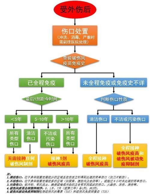 如何預防破傷風感染？（主任醫師三甲如何防治破傷風） 如何預防破傷風感染？（主任醫師三甲如何防治破傷風） 龍魚百科 第1張