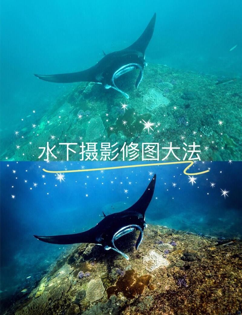 如何拍攝高質量的金色龍魚照片（如何拍攝出高質量的金色龍魚照片） 如何拍攝高質量的金色龍魚照片（如何拍攝出高質量的金色龍魚照片） 龍魚百科 第7張