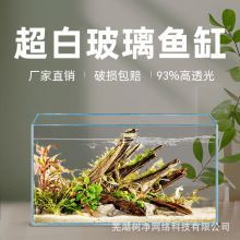 安慶魚缸批發市場：安慶魚缸批發市場在哪里