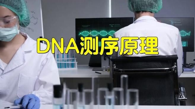 DNA檢測如何進行（a檢測是一種通過分析個體的遺傳物質—）