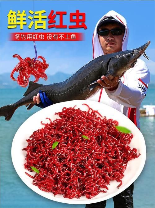 給我推薦一些適合釣紅龍魚的魚餌(適合釣紅龍魚的餌料有哪些) 龍魚百科 第6張 給我推薦一些適合釣紅龍魚的魚餌(適合釣紅龍魚的餌料有哪些) 給我推薦一些適合釣紅龍魚的魚餌(適合釣紅龍魚的餌料有哪些) 龍魚百科 第6張