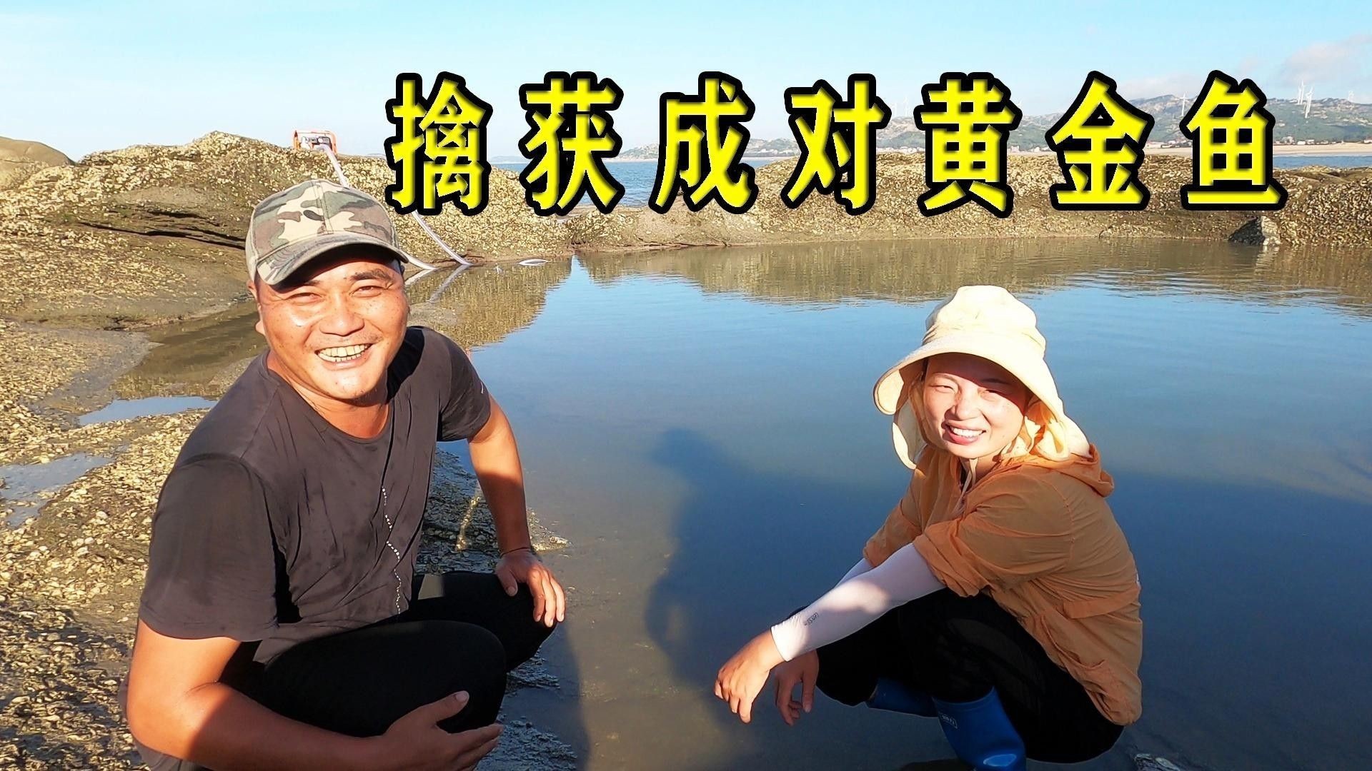 給我推薦一些適合釣紅龍魚的魚餌（適合釣紅龍魚的餌料有哪些） 給我推薦一些適合釣紅龍魚的魚餌（適合釣紅龍魚的餌料有哪些） 龍魚百科 第9張