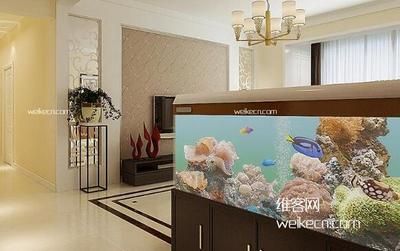 房屋裝修魚缸(家里放魚缸如何裝修-土巴兔裝修問答) 觀賞魚百科 第2張 房屋裝修魚缸(家里放魚缸如何裝修-土巴兔裝修問答) 房屋裝修魚缸(家里放魚缸如何裝修-土巴兔裝修問答) 觀賞魚百科 第2張