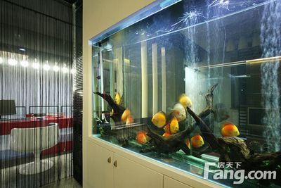房屋裝修魚缸(家里放魚缸如何裝修-土巴兔裝修問答) 觀賞魚百科 第3張 房屋裝修魚缸(家里放魚缸如何裝修-土巴兔裝修問答) 房屋裝修魚缸(家里放魚缸如何裝修-土巴兔裝修問答) 觀賞魚百科 第3張